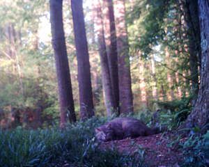 CCTRIP1_08.JPG